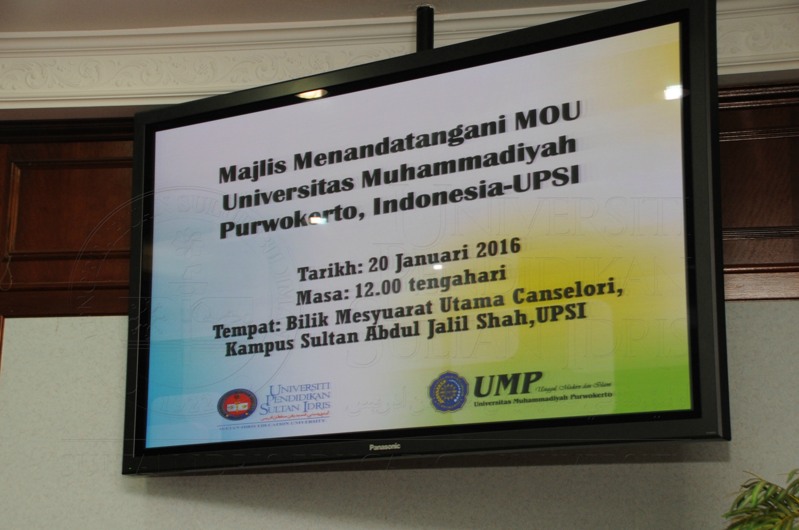 PRO16 6 Mou HAS 7950